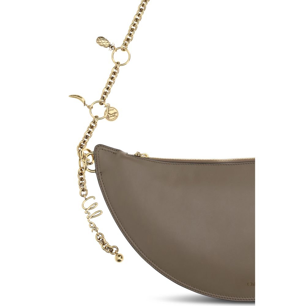 2026 New Arrival Chloé Gray Calf Leather Bos Taurus Shoulder Bag