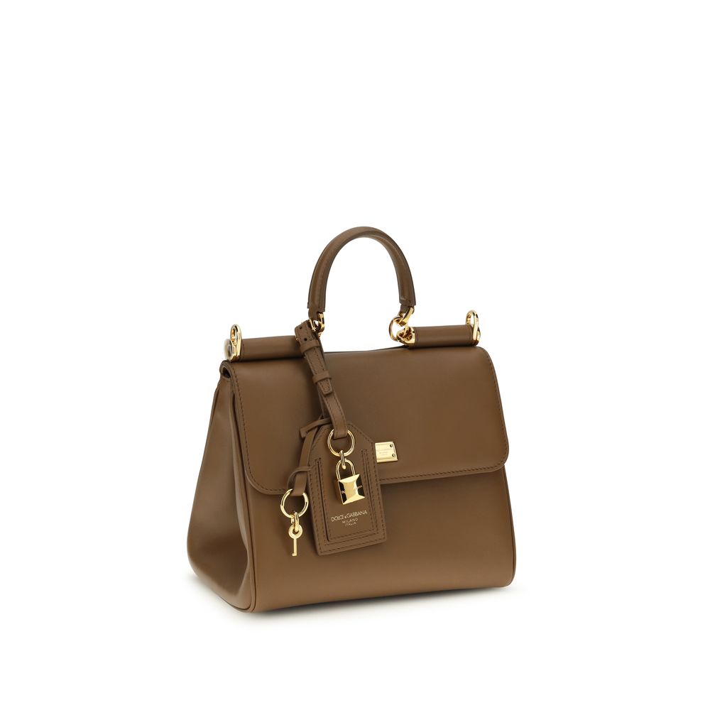 2026 New Arrival Dolce & Gabbana Brown Calf Leather Bos Taurus Handbag