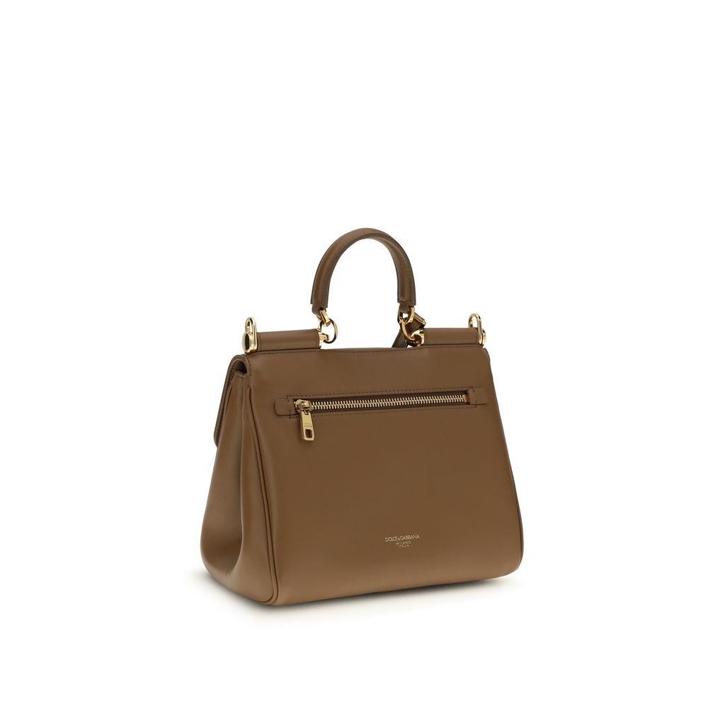2026 New Arrival Dolce & Gabbana Brown Calf Leather Bos Taurus Handbag